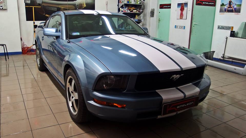 Galeria Mustang